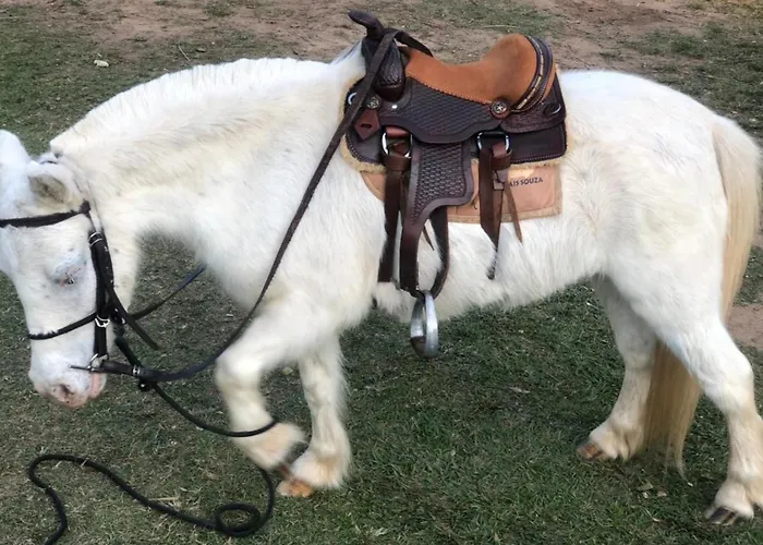Chale Cantinho De Minas